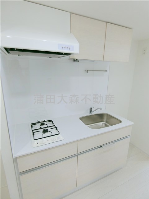 キッチン　調理スペースのある2口ガスシステムキッチン