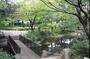 公園　馬橋公園（公園）まで800m