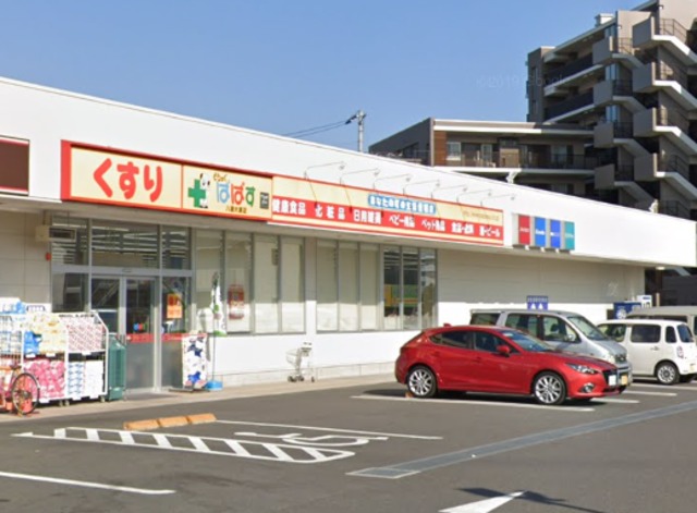 ドラックストア　どらっぐぱぱす八潮大瀬店（ドラッグストア）まで1430m