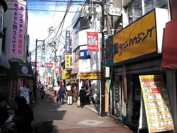 その他　大岡山北口商店街（その他）まで600m