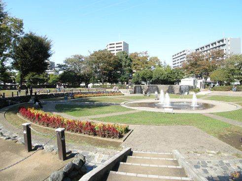 公園　天沼弁天池公園（公園）まで507m