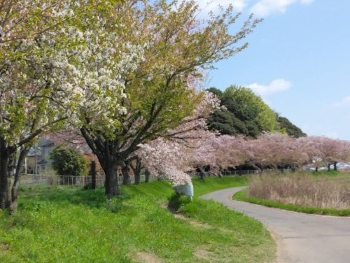 公園　春おか広場 花畑（公園）まで8978m