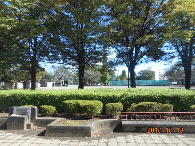 公園　常盤公園（公園）まで713m
