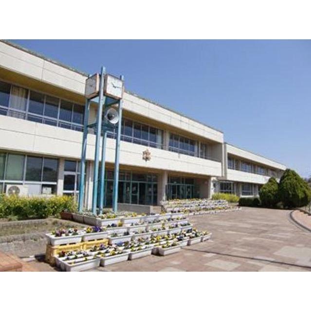 小学校　つくば市立手代木南小学校（小学校）まで1000m