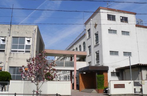 小学校　名古屋市立筒井小学校（小学校）まで278m