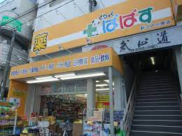 ドラックストア　どらっぐぱぱす新江戸川橋店（ドラッグストア）まで504m