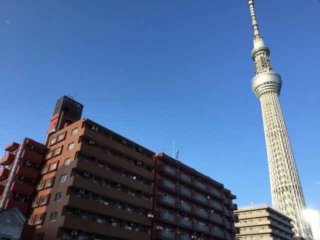 眺望