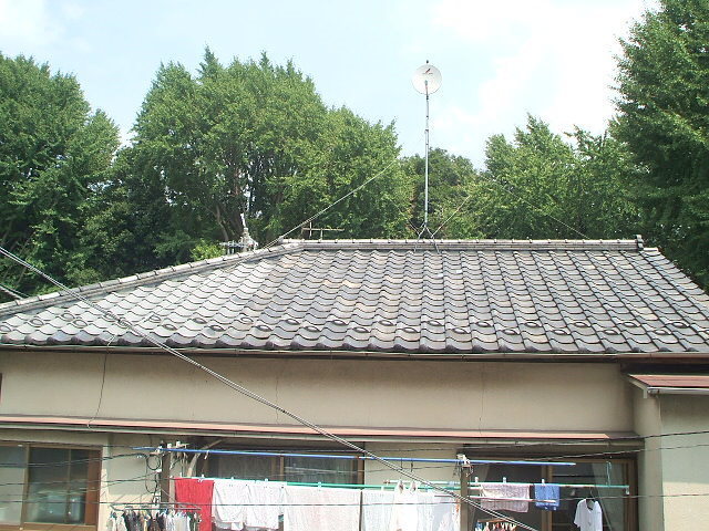 眺望　閑静な住宅地♪新宿御苑見えます♪
