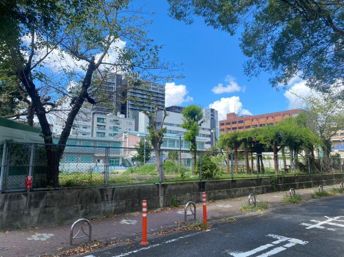 小学校　名古屋市立葵小学校（小学校）まで831m