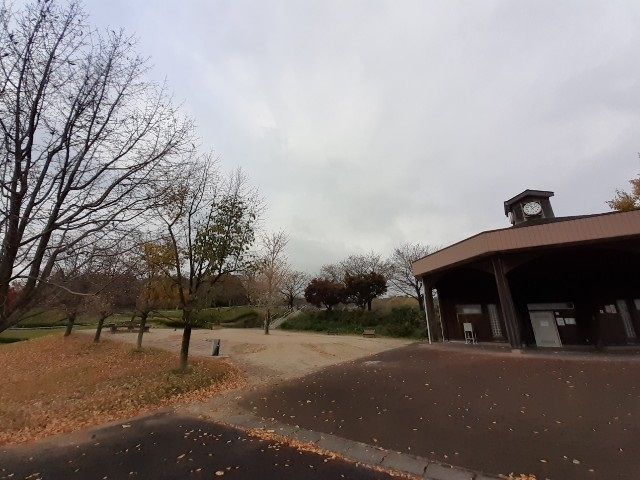 公園　上野田ふれあい公園（公園）まで1500m