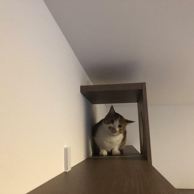 その他設備　※同仕様写真含む