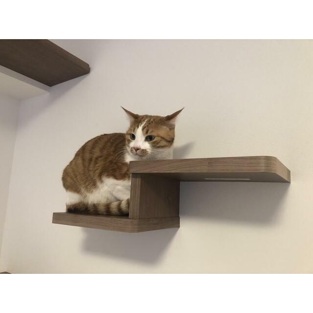 その他　※同仕様写真含む