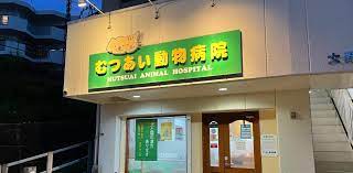 病院　むつあい動物病院（病院）まで139m