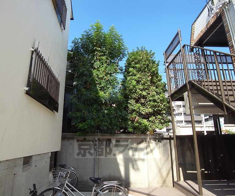 庭