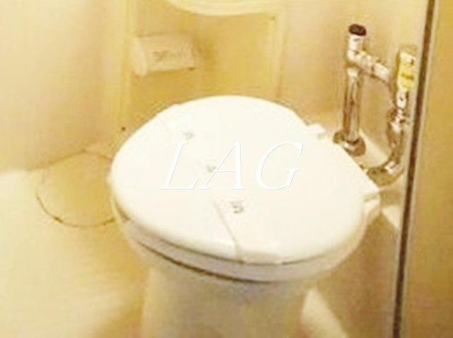 トイレ　トイレです。