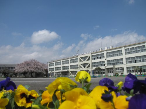 【昭島市福島町のアパートの小学校】