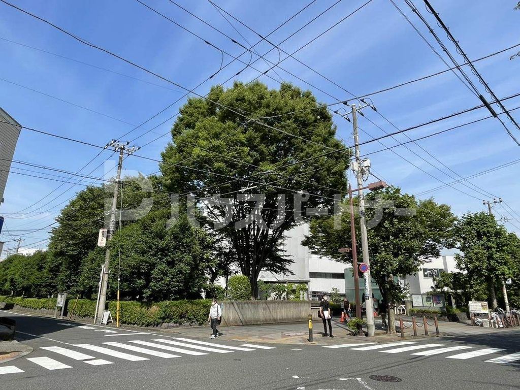 【文京区目白台のマンションの病院】