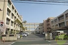 中学校　明石市立望海中学校（中学校）まで1630m