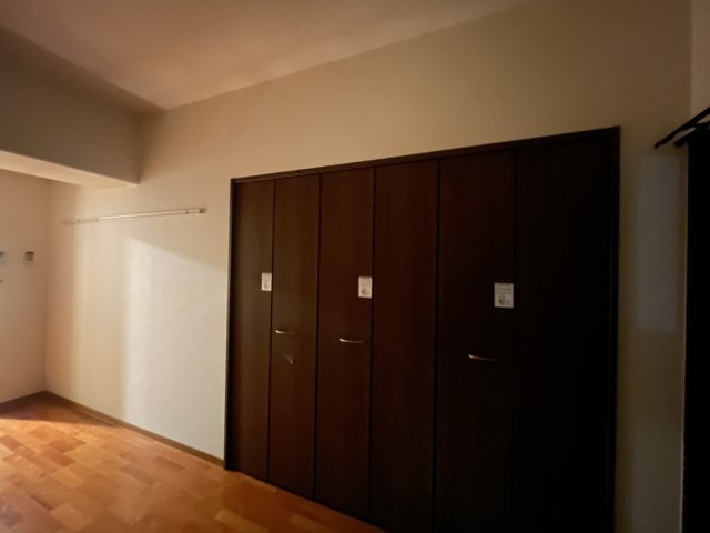 収納　同物件の他部屋の写真