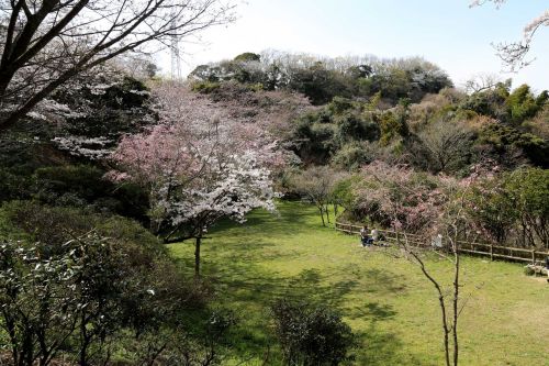 【プレジール葉山の公園】