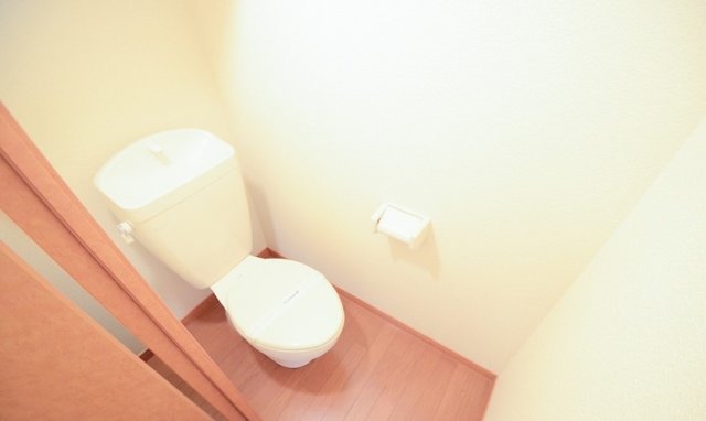 トイレ　同物件、別号室のものです。