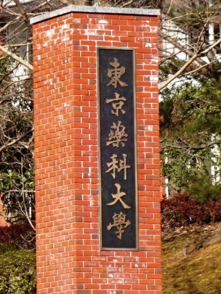 大学・短大　私立東京薬科大学（大学・短大）まで1553m