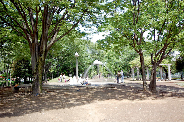 公園　青葉台公園（公園）まで439m