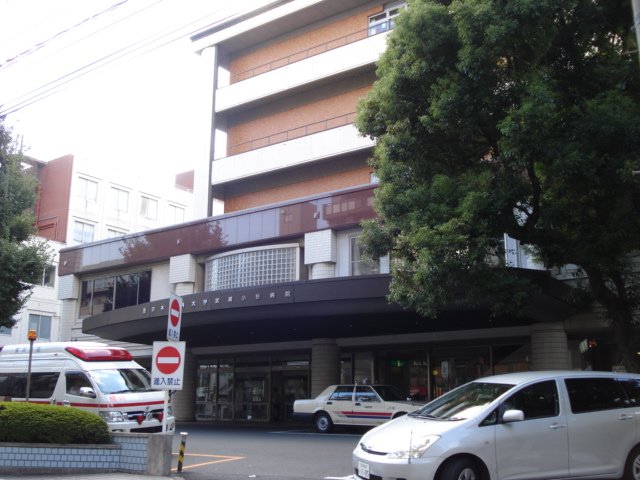 その他　日本医科大学武蔵小杉病院（その他）まで266m