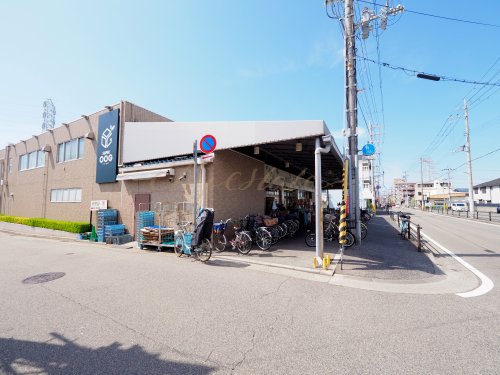 上ノ島町2丁目貸家の周辺写真
