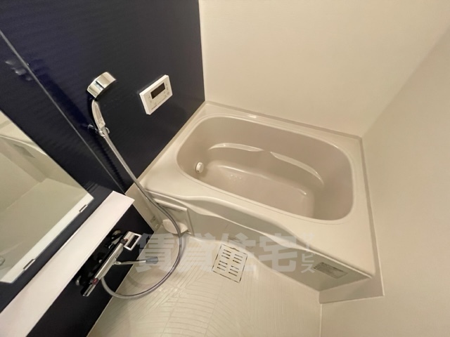 ソルテラス京都東寺 HOMAREの風呂写真