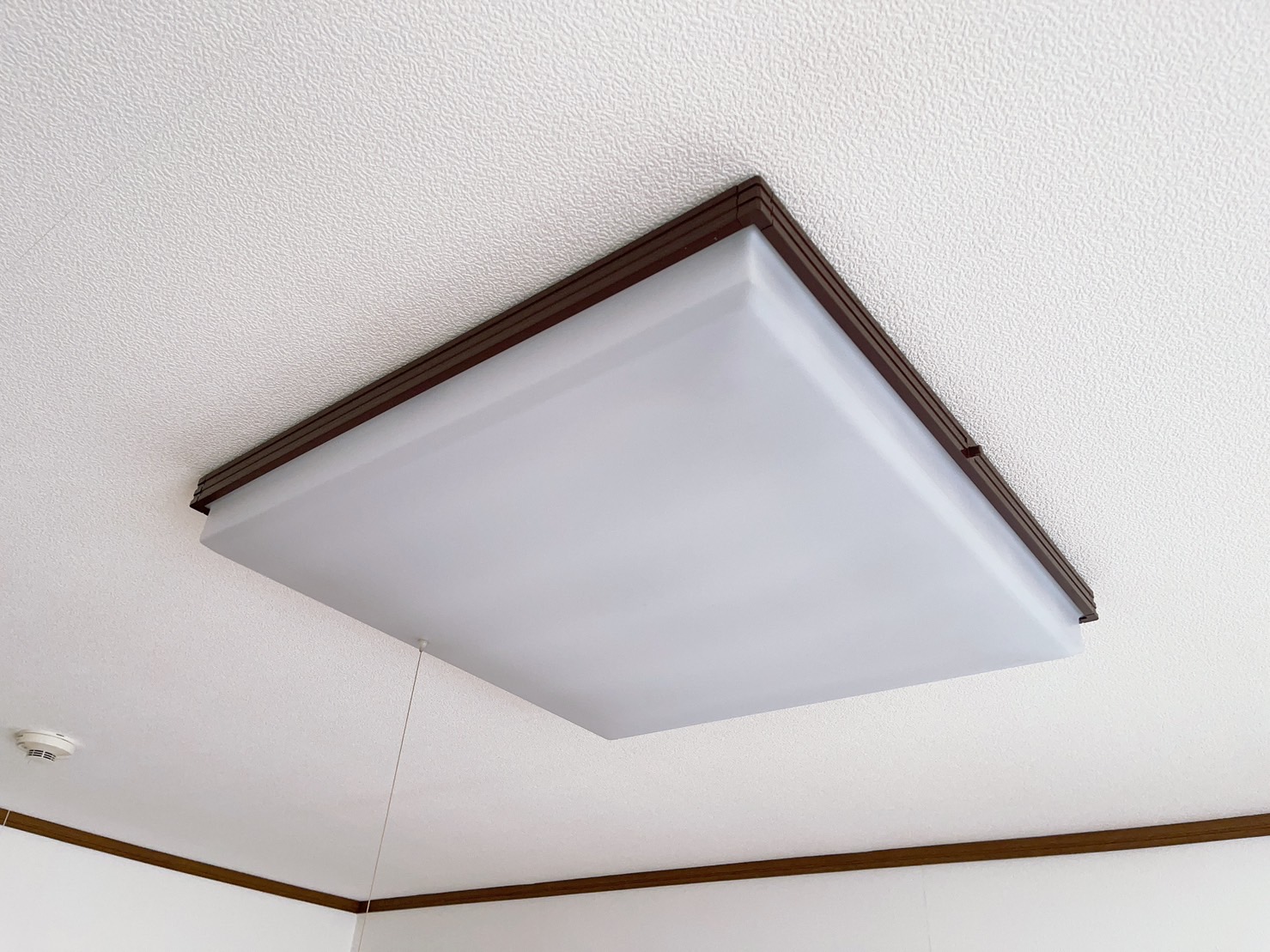 その他　照明付き