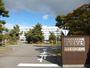大学・短大　国立北海道大学水産学部（大学・短大）まで498m
