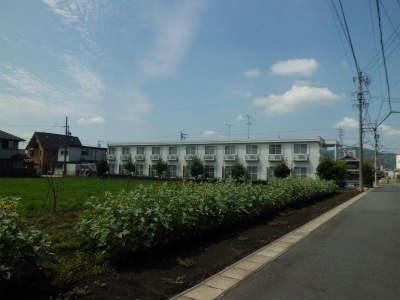 眺望　窓外には、豊かな緑が広がります。