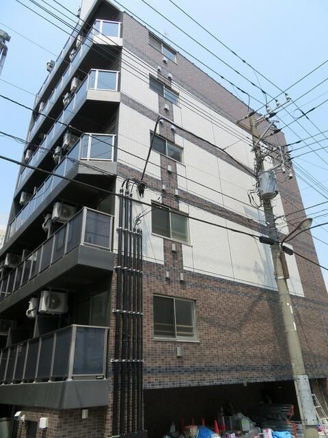 【ラフィスタ錦糸町IIの建物外観】