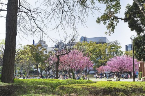 【リヴシティ関内の公園】