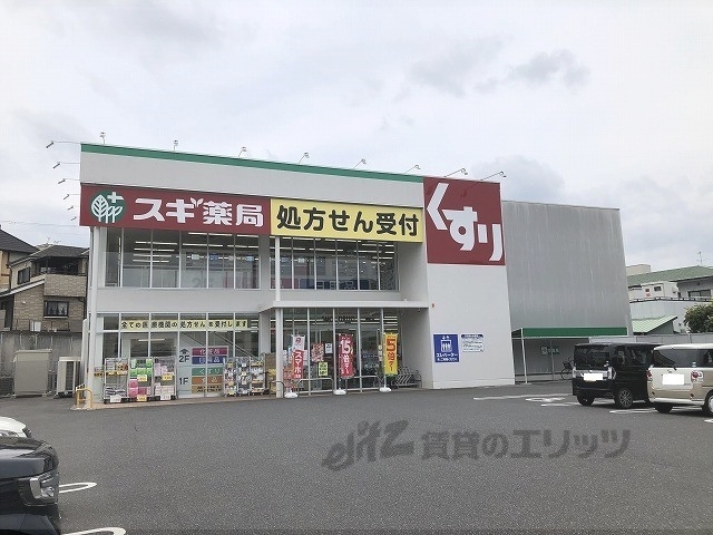 ドラックストア　スギ薬局南郷店（ドラッグストア）まで800m