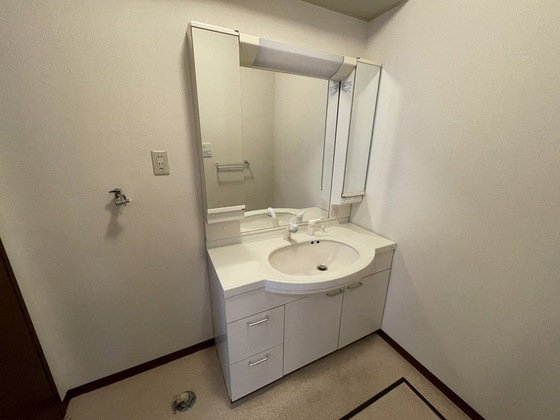 洗面設備　※別号室の写真です。