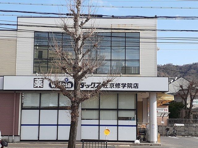 ドラックストア　ダックス左京修学院店（ドラッグストア）まで575m