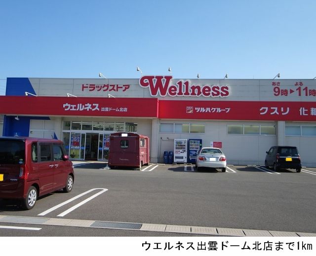 ドラックストア　ウエルネス出雲ドーム北店（ドラッグストア）まで1000m