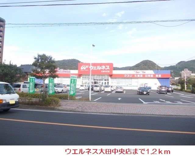 ドラックストア　ウエルネス大田中央店（ドラッグストア）まで1200m