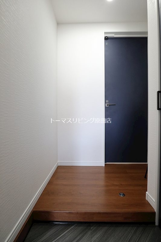 玄関　203号室写真