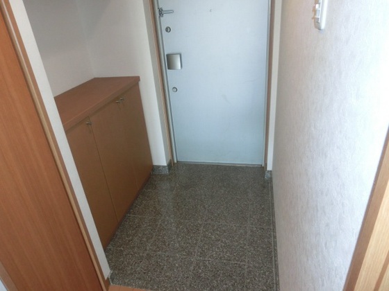 玄関　※別の部屋の写真です