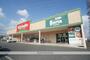 ドラックストア　キリン堂　高田神楽店（ドラッグストア）まで454m