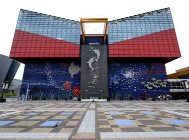 その他　海遊館（その他）まで713m