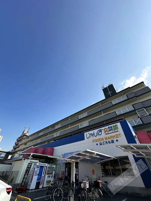 スーパー　じゃんぼ食鮮館羽衣（スーパー）まで821m