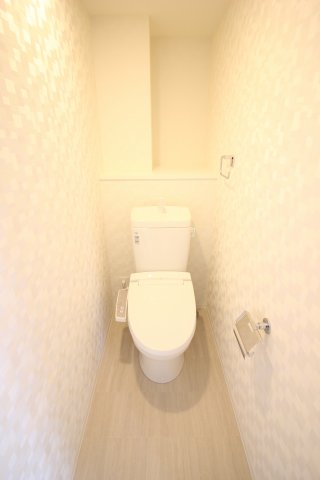 トイレ　（別タイプ参考写真）アイルプレミアム文京六義園　文京区本駒込