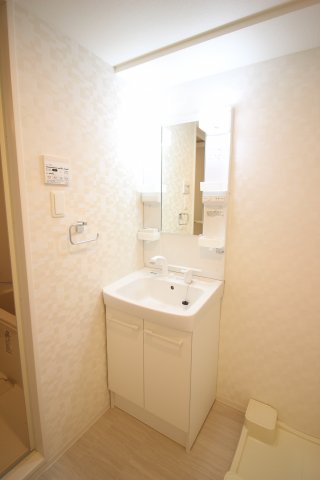 洗面設備　（別タイプ参考写真）アイルプレミアム文京六義園　文京区本駒込