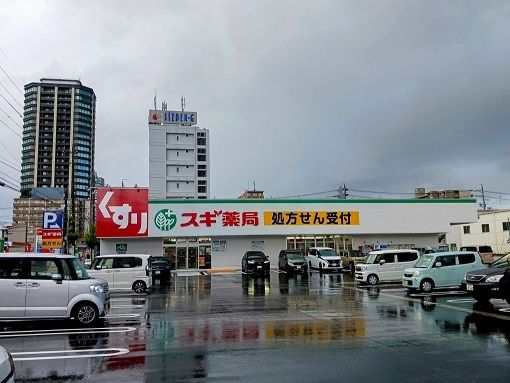 ドラックストア　スギ薬局東静岡店（ドラッグストア）まで300m