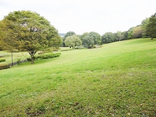 公園　富士見台公園（公園）まで650m