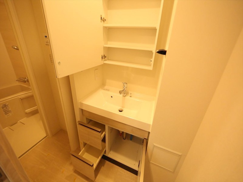 洗面設備　脱衣所　独立洗面台（シャンプードレッサー付）収納スペース有